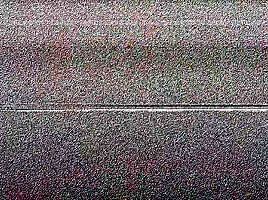 Maria Devine Gangland Style 3on1 With Dp & Dap Rs131