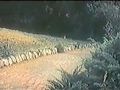 The other Cinderella